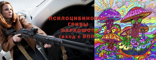 дурь Ладушкин