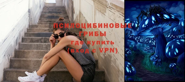 mix Лабытнанги